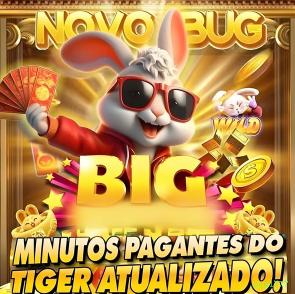 Checklist para avaliar a plataforma noel777